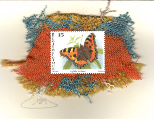 Small Tortoiseshell Butterfly (Belgium) Card