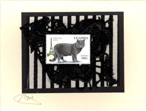 Chartreux Cat (Uganda) Card