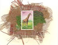Giraffe (Burundi) Card