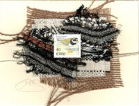 Ringed Plover Bird Card (Ireland)