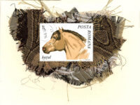 Tan Hutul Horse (Romania) Card