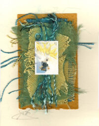 White Cockatoo with Yellow Crest (Australia)