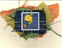 Yellow Flowering Cactus (Poland) Card