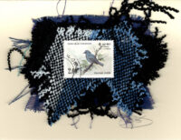 Dusky-Blue Flycatcher (Sri Lanka) Bird Card