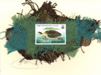 Sea Turtle (Kiribati) Card