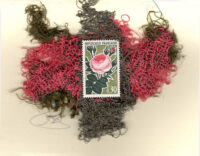 Pink Camellias (France) Card