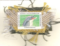 Grey Common Dolphin (Non-Stamp) Card