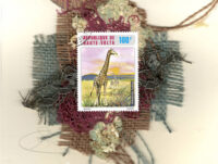 Giraffes in the Wild (Haute Volta) Card