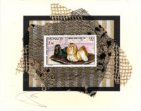 Lhassa-Apso & Shih-Tzu Dog Card