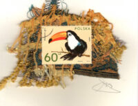 Toucan (Poland) Card
