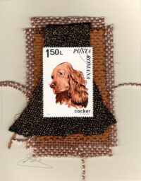 Cocker Spaniel (Romania) Dog Card