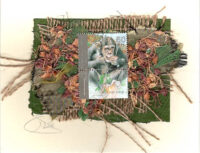 Chimpanzee (Israel) Card