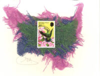 Green-Throated Carib Hummingbird (British Virgin Islands) Card - Vers. #2