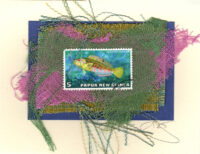Saltwater Fish (Papua New Guinea) Card