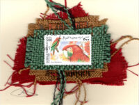 Red Hyacinth McCaw (Somali) Card