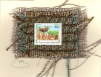 Donkey (Ascension Island) Card
