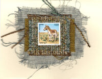 Donkey (Israel) Card