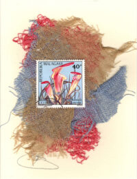 Nepenthes (Malagasy) Flower Card