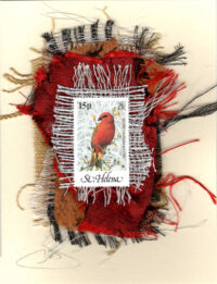 Red Fody Cardinal (St. Helena) Card