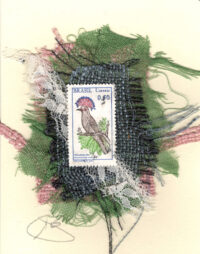 Royal Flycatcher (Brazil) Bird Card