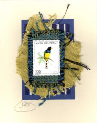 Green-backed Trogon (Peru) Bird Card