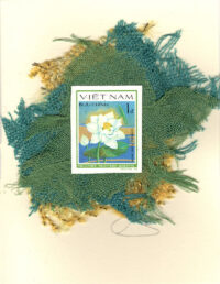 White Lotus Flower (Vietnam) Card