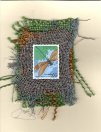 Brown Dragonfly (Japan) Card