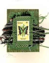 Paku Kijani Butterfly (Kenya) Card