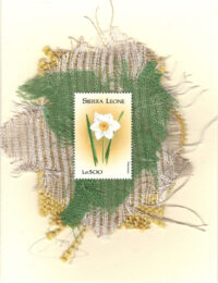 Narcissus (Sierra Leone) Card