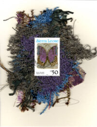 Blue Salamis Purple Butterfly (Sierra Leone) Card