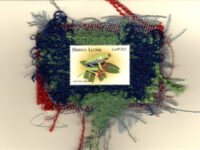 Tree Frog (Sierra Leone) Card