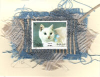 White Cat with Blue Bow (Sharjah) Card