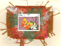 Mariposas Butterfly (Cuba) Card