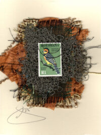 Crested Barbet Bird (Botswana) Card