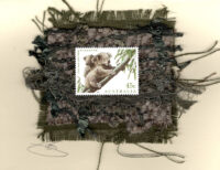 Koala Bear (Australia) Card