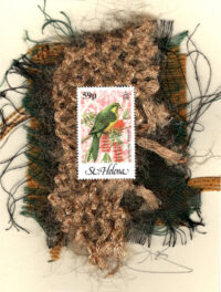 Serinus Finch (St. Helena) Card