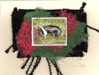 B & W Pig (Panama) Card