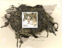 HM-Brown & White Cat with Green Eyes (Malta) Card