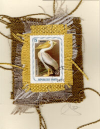 Pelican (Haiti) Card