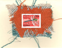 Salmon Dragonfly (Poland) Card