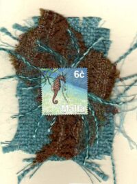 Seahorse (Malta) Card