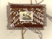 Yellow & Black Speckled Frog (Papua New Guinea) Card