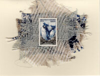 Blue & White Penguins (Antarctica) Card