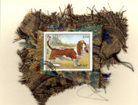 Basset Hound (Fujeira) Dog Card