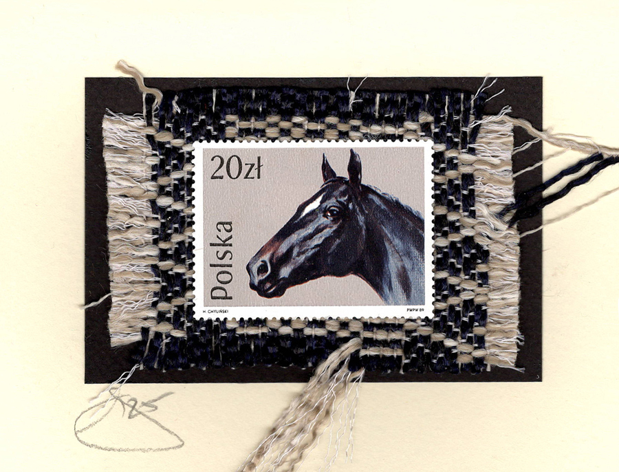 Black Stallion Horse (Poland) Card