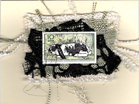 Black and White Rabbit (DDR) Card