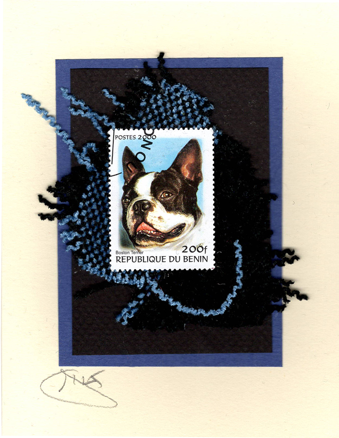 Boston Terrier (Benin) Dog Card