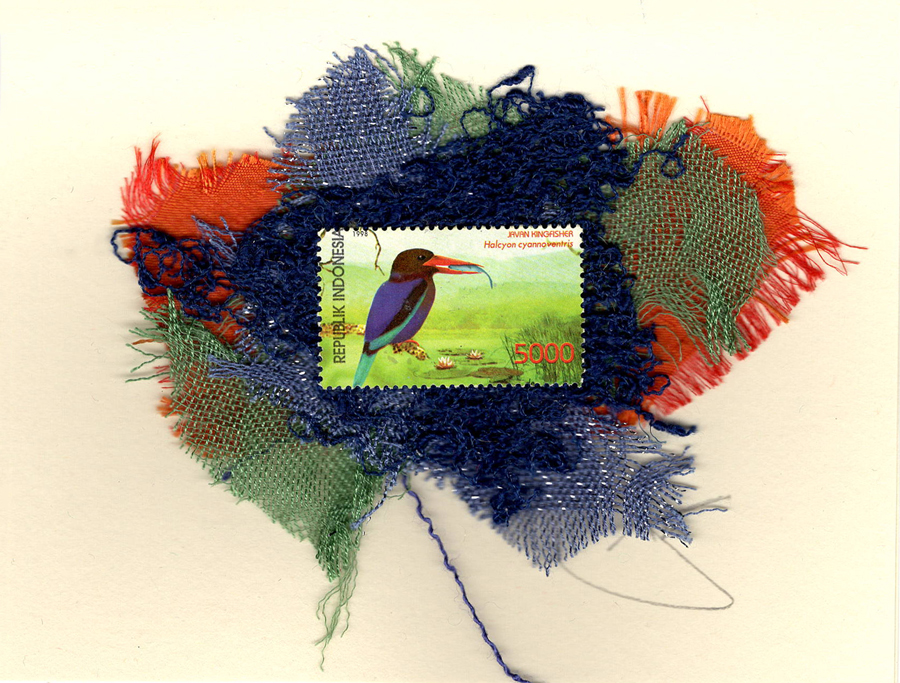 Javan Kingfisher (Indonesia) Bird Card