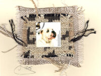 English Buldog (Great Britain) Dog Card