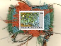 Field of Irises by Van Gogh (Romania) Card